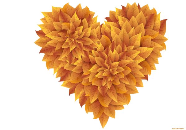 Сердце из осенних листьев