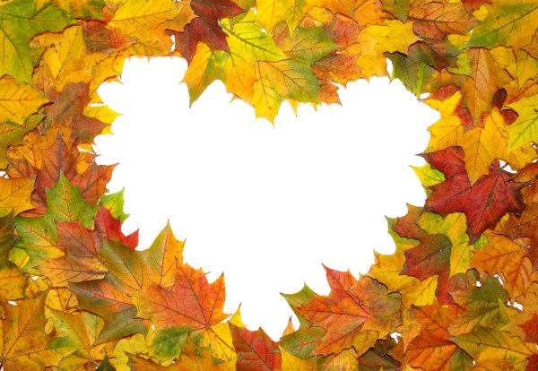 Рамка из листьев