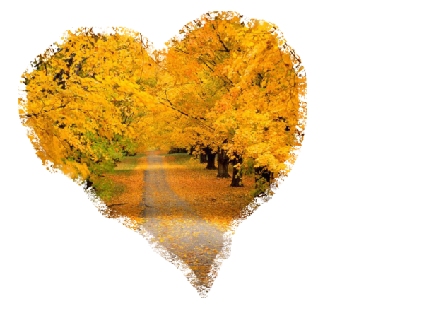 Осенние листья