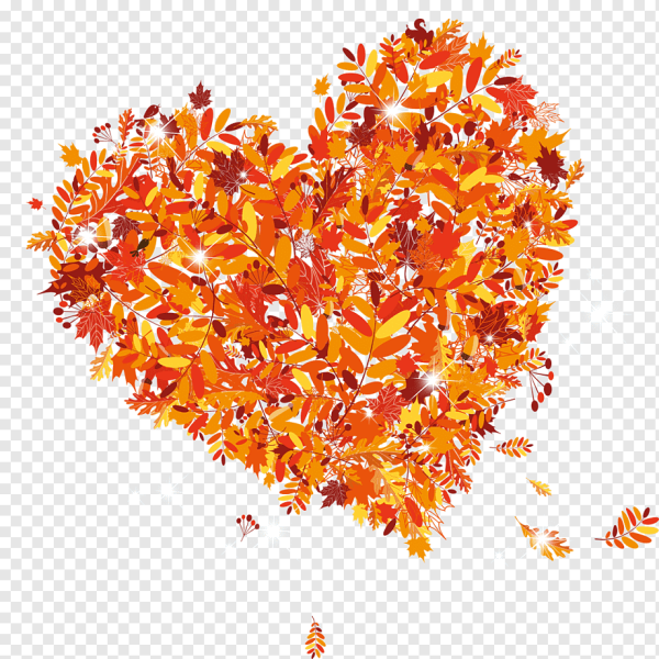 Сердечко из осенних листьев