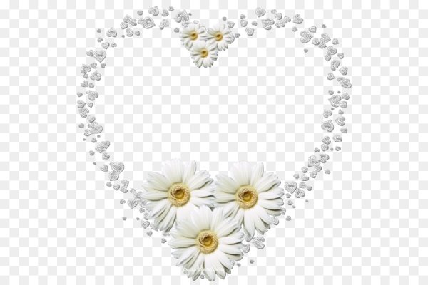 Сердце из ромашек на прозрачном фоне