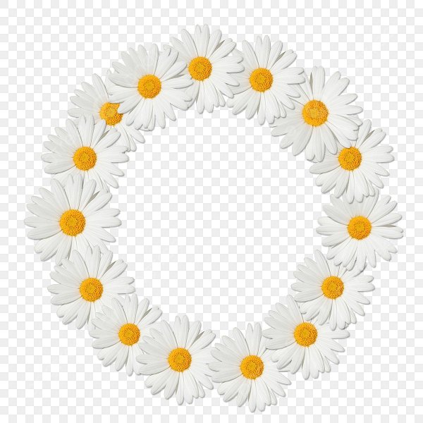 Круглая рамка из ромашек
