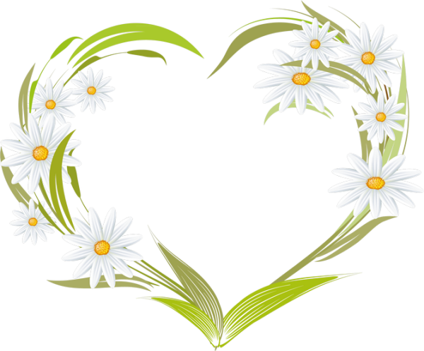 Рамка из ромашек