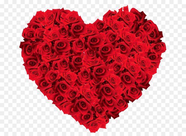 Красные розы сердце