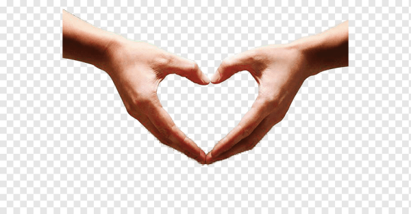 Сердце в руках на прозрачном фоне