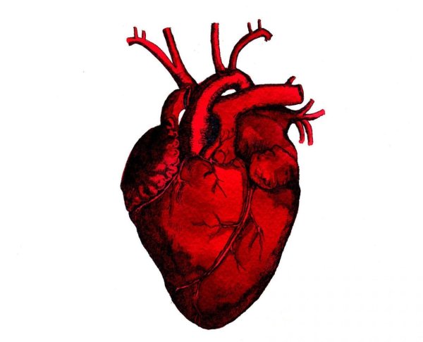 Сердце на прозрачном фоне настоящее