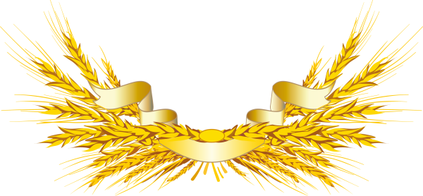 Рамка колосья