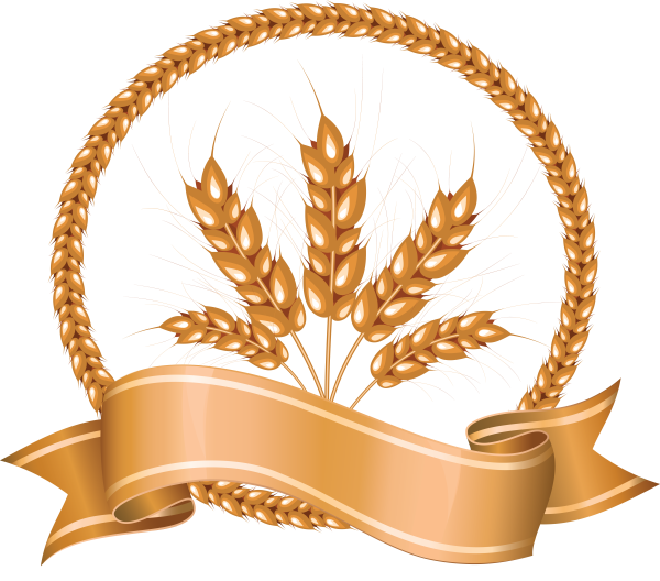 Колос логотип