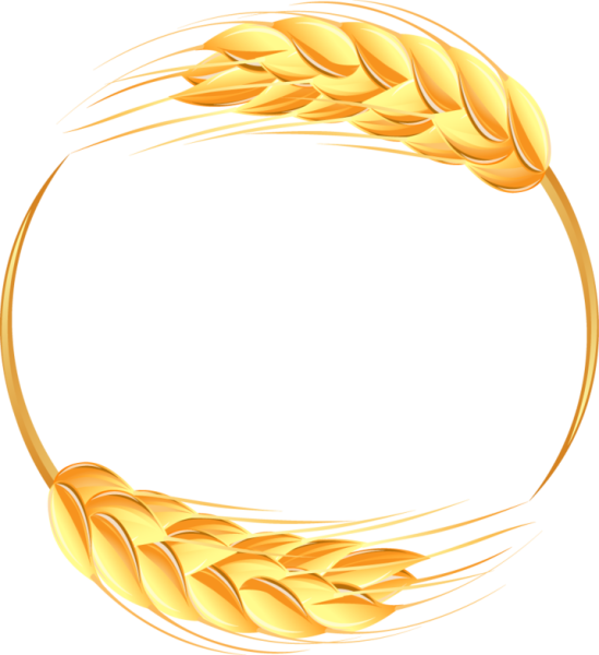 Колоски круг