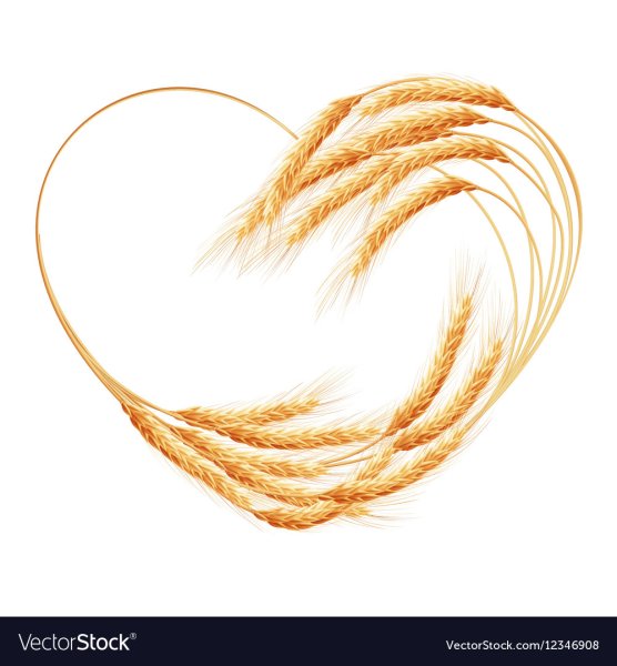 Колосья в форме сердца