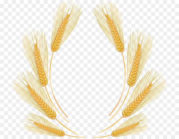 Рамка с колосьями пшеницы