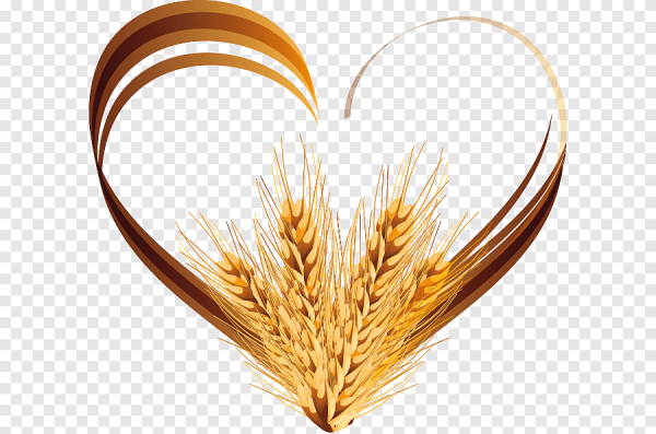 Сердце из колосьев