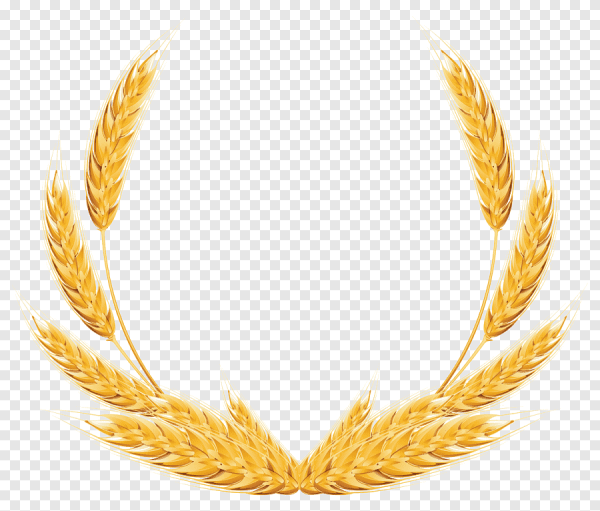 Пшеничный Колос