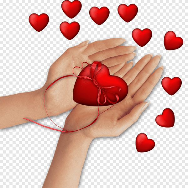 Сердце в ладонях