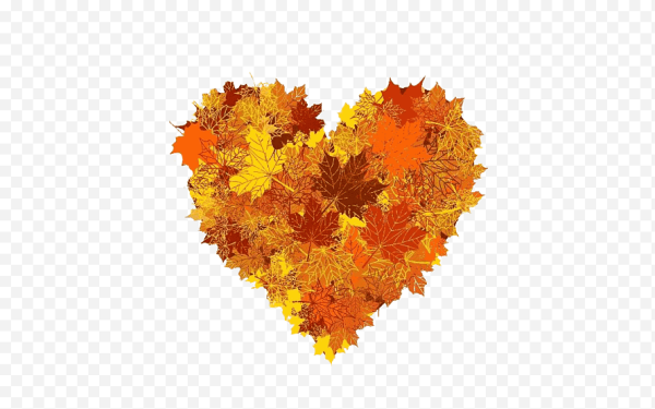 Сердце из осенних листьев на прозрачном фоне