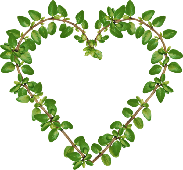 Сердце из зелени