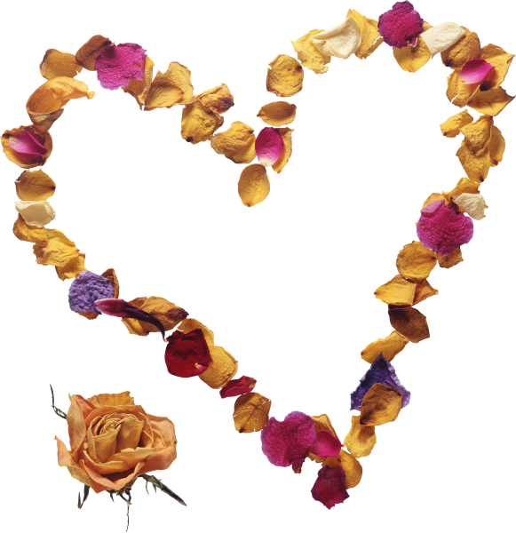 Сердечко из листьев