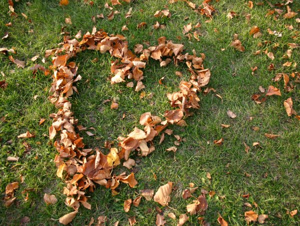 Сердечко из осенних листьев