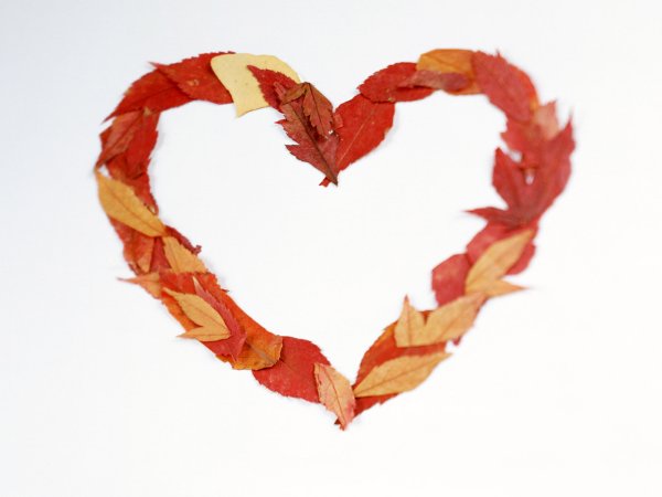 Осень сердце из листьев