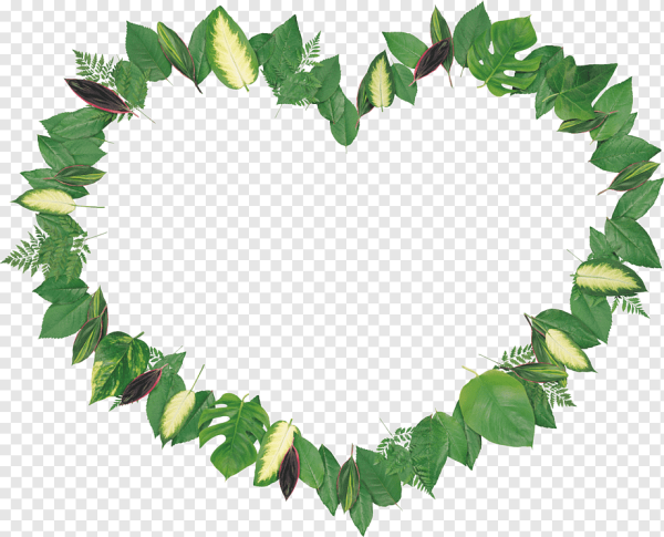 Рамка из зеленых листьев