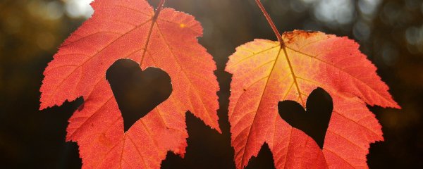 Листик сердечко