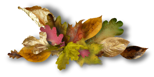 Венок из осенних листьев на прозрачном фоне
