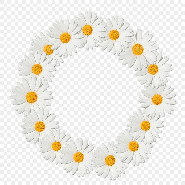 Круглая рамка с ромашками