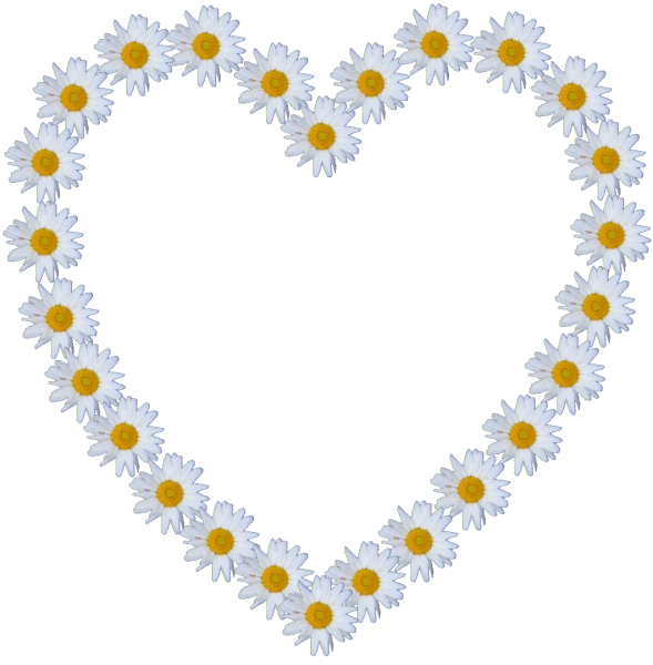 Сердце из ромашек