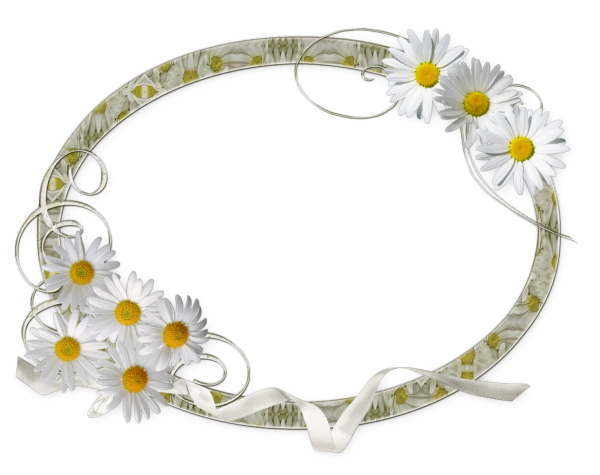 Рамка ромашки