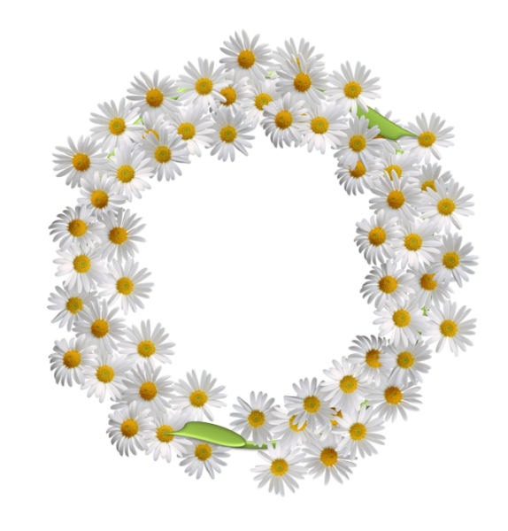 Круглая рамка из ромашек