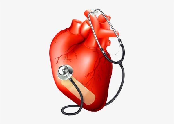 Медицинское сердце