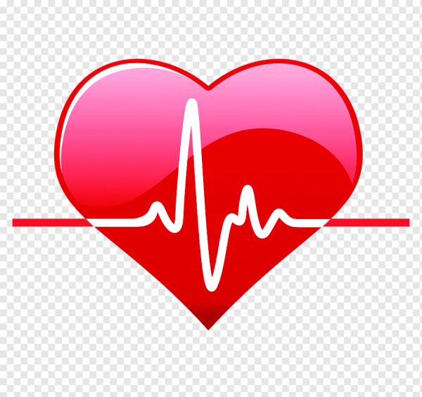 Кардиограмма сердца