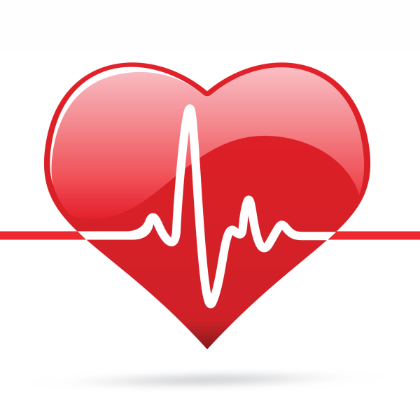 Пульс сердца