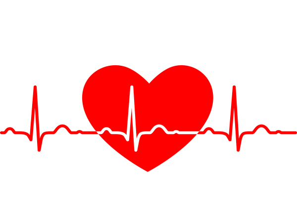 Ритм сердца на прозрачном фоне