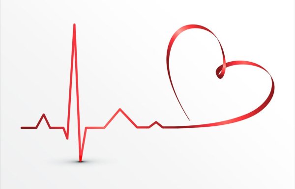 Кардиограмма сердца