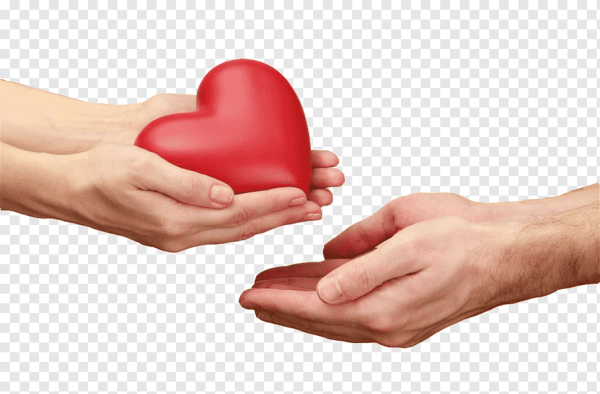 Руки держат сердце