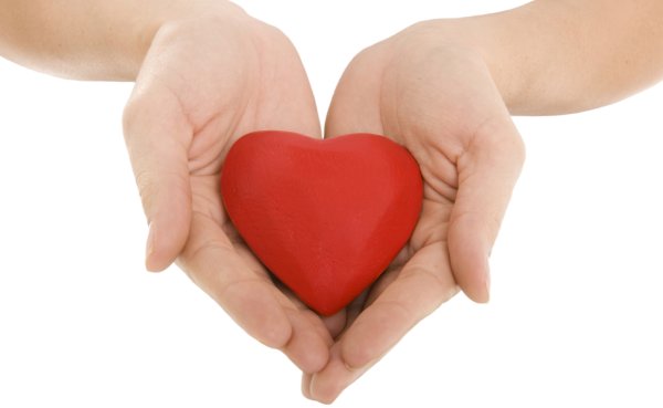 Сердце в руках