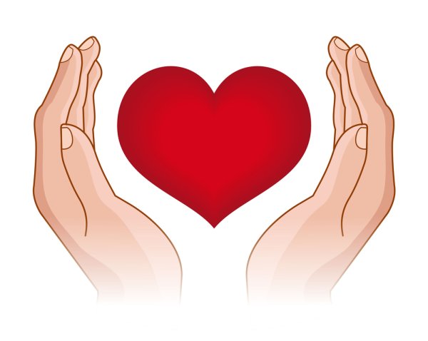 Сердце в руках клипарт