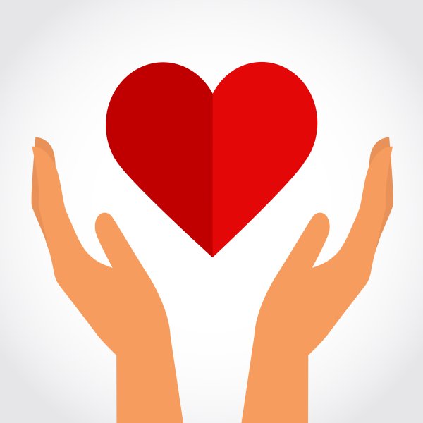 Руки держат сердце