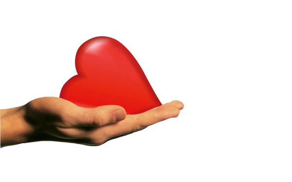 Сердце в ладошках