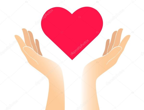 Две руки держат сердце