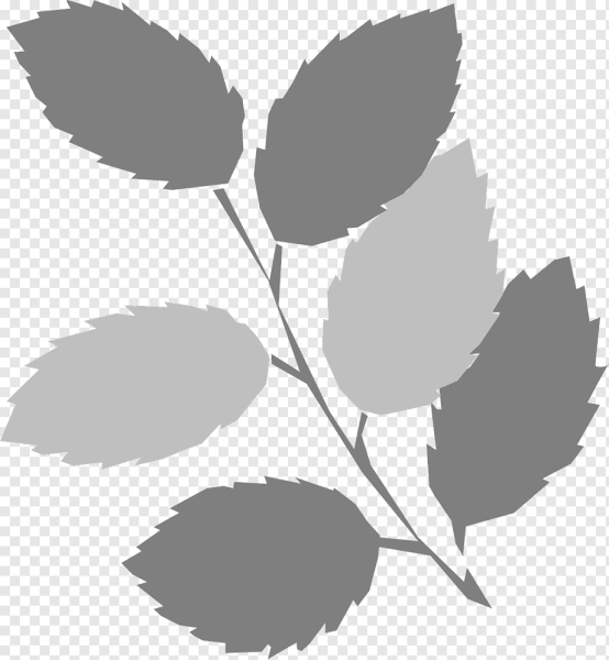 Трафарет ветка с листьями