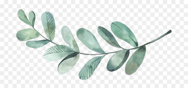 Стикеры веточки