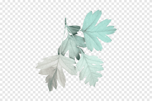 Листья скрап набор