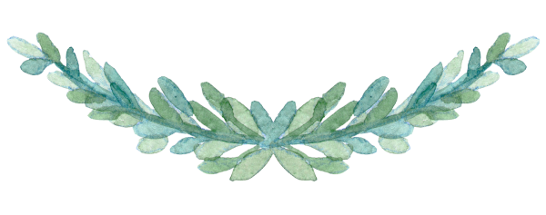 Ветка растения акварелью на прозрачном фоне