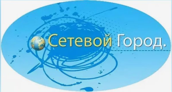 Сетевой город логотип