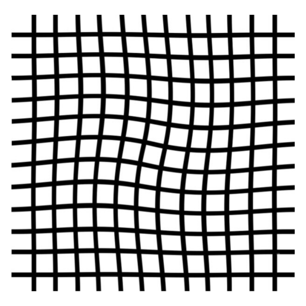 Векторная сетка