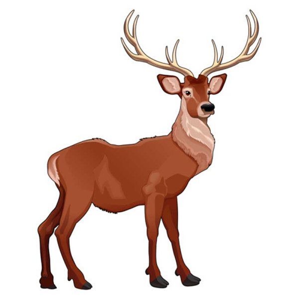 Олень для детей