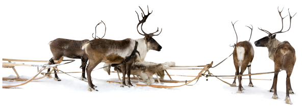 Упряжка оленей для фотошопа