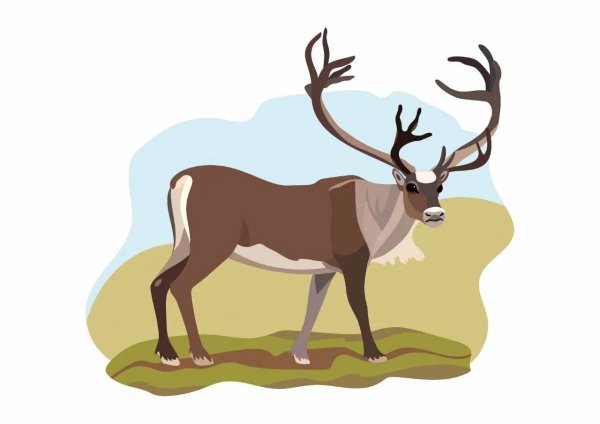 Северный олень мультяшка